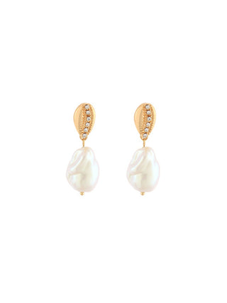 Conch Shell Pearl Drop Earrings