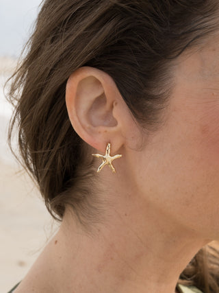 Starfish Studs