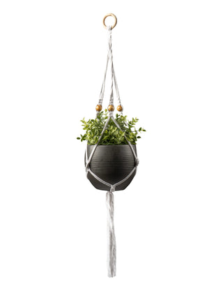 Macrame Plant Hanger White