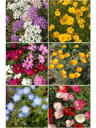 Honeybee Garden Sprinkles