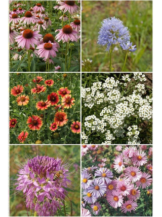 Honeybee Garden Sprinkles