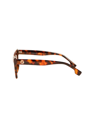 Oversized Cat Eye Sunglasses Brown