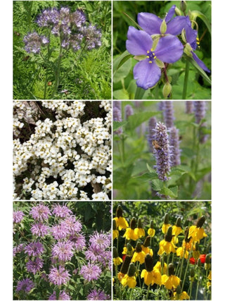 Honeybee Garden Sprinkles