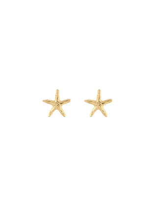 Starfish Studs