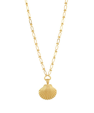 Sea Shell Pendant Necklace
