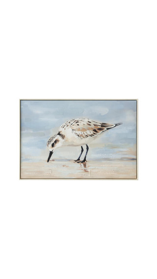 Coastal Sandpiper