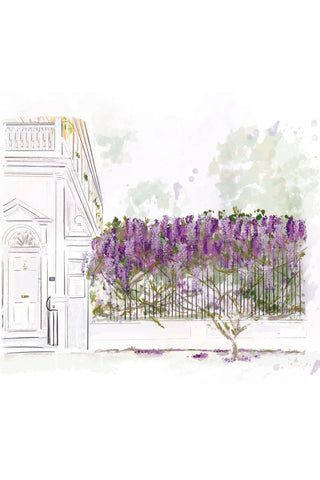 Wisteria On Meeting Street