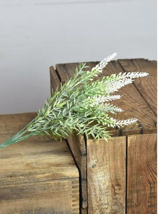 White Lavender Bush