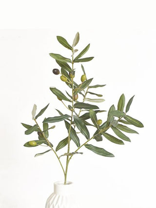 Olive Spray