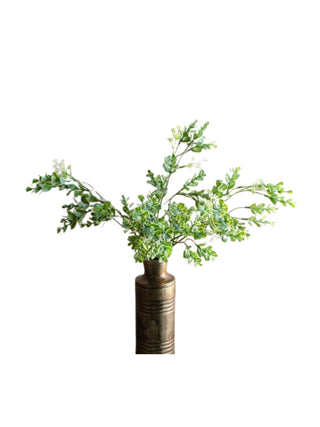 5 Stem Eucalyptus Bush