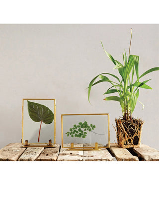 Brass and Glass Standing Photo Frame