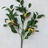 Faux Lemon Tree Branch 