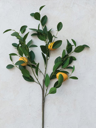 Faux Lemon Tree Branch 