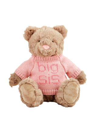 Big Sis Plush Bear