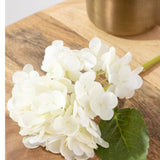 White Hydrangea Stem
