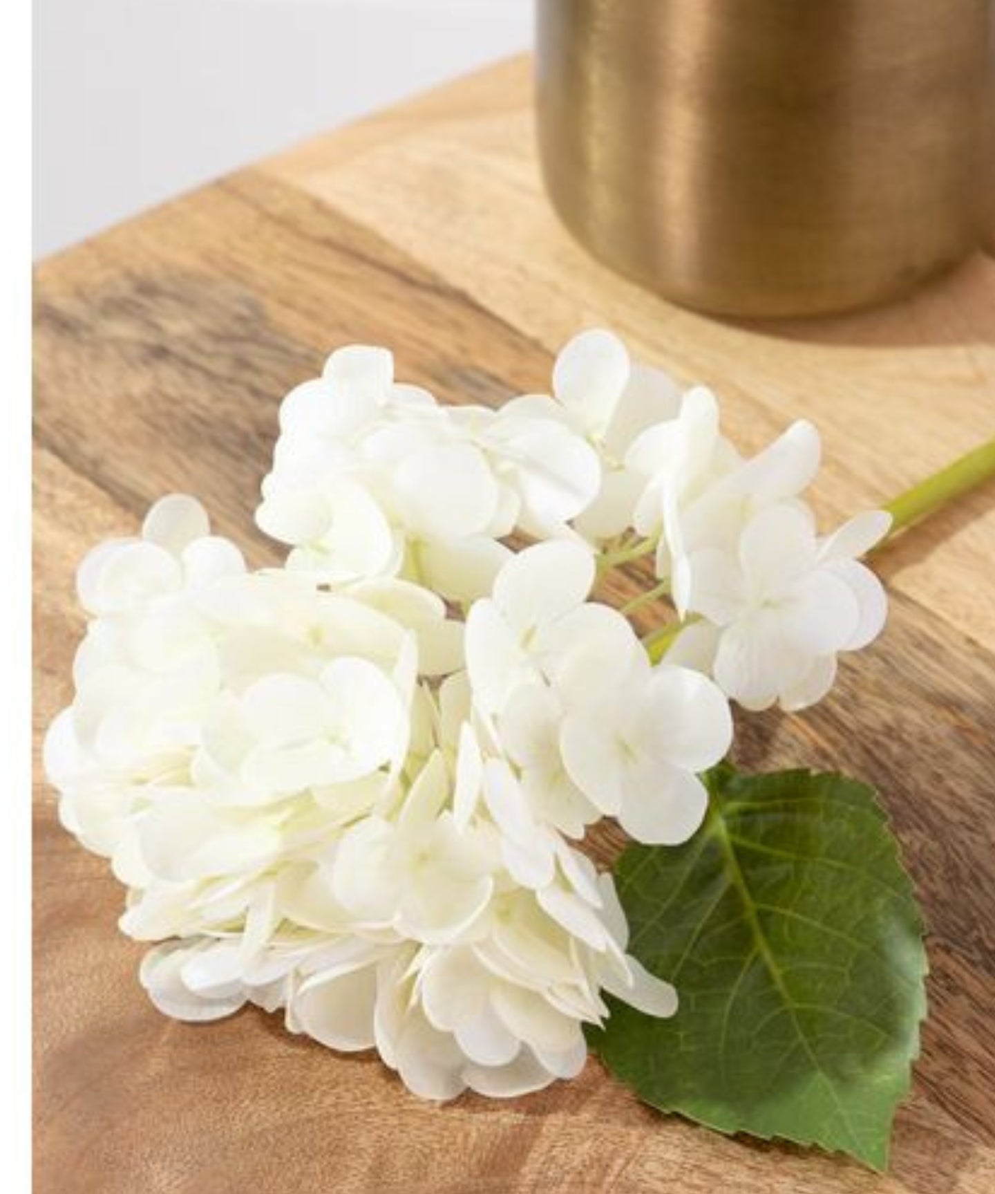 White Hydrangea Stem