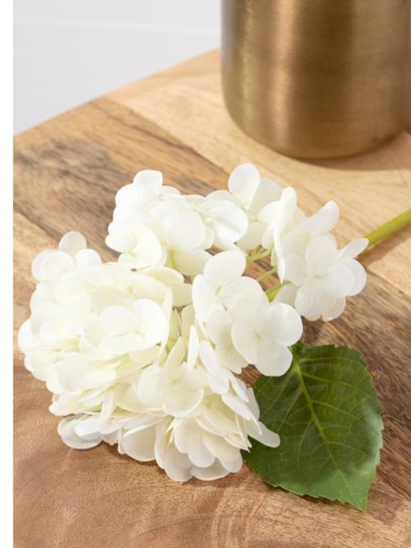 White Hydrangea Stem