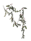 Pine and Mistletoe Garland