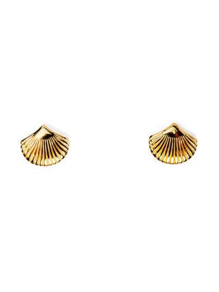 My Sister's Cottage | Waterproof | Small Shell Earrings
