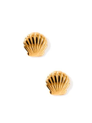 Gold Seashell Flatback Stud Earrings