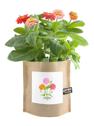 Garden in a Bag