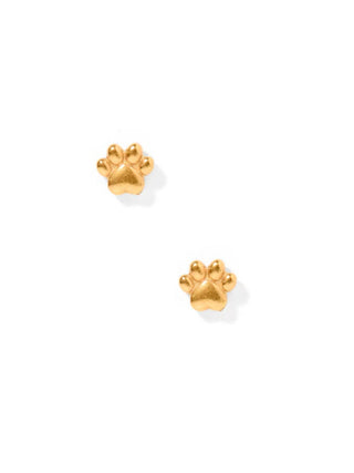 Gold Paw Print Flatback Stud Earrings