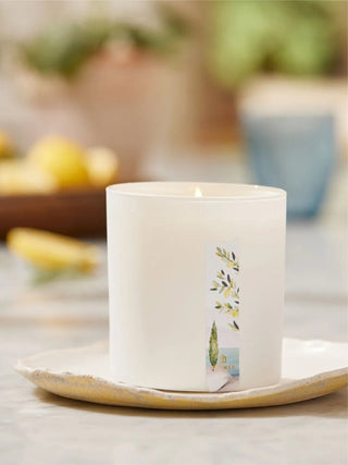 Cyprus Sea Salt Poured Candle