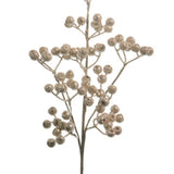 Champagne Berry Pick  