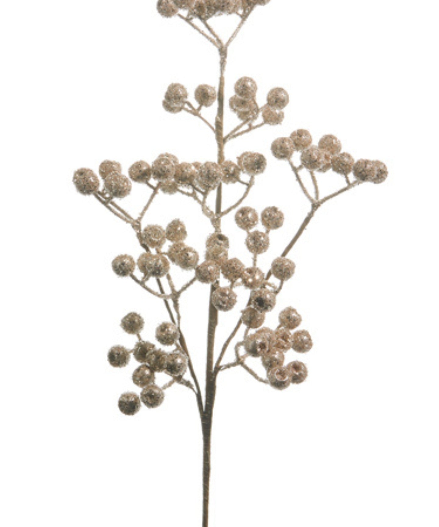 Champagne Berry Pick  