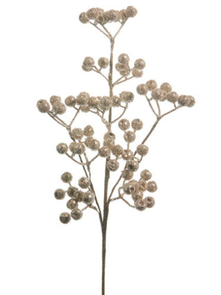 Champagne Berry Pick  
