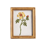 Framed Floral Embroidery