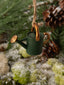 Resin Watering Can Ornament