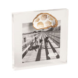 Acrylic Gold Shell Frame with Shell Design