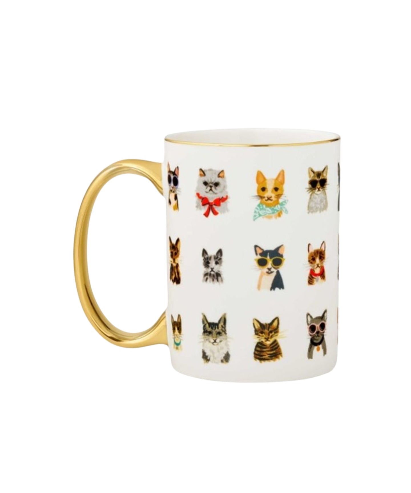 Cool Cats Porcelain Mug