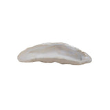 Stoneware Oyster Shell Dish