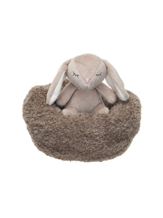 Stuffed Animal w/ Bean Bag Bunny