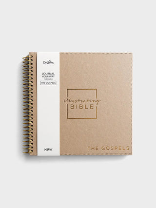 NIV Illustrating Bible - The Gospels
