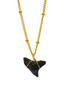 Shark Tooth Necklace