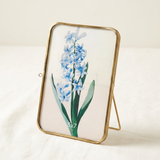 Antique Brass 5x7 Photo Frame