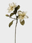White Floral Stem