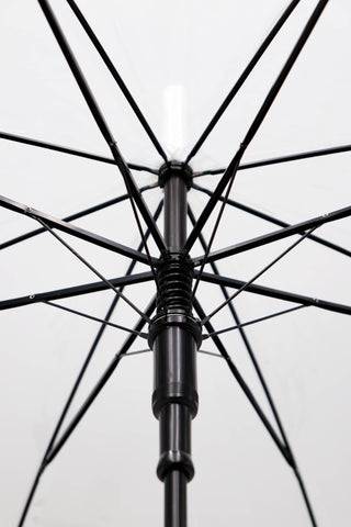Bubble Dome Auto Umbrella