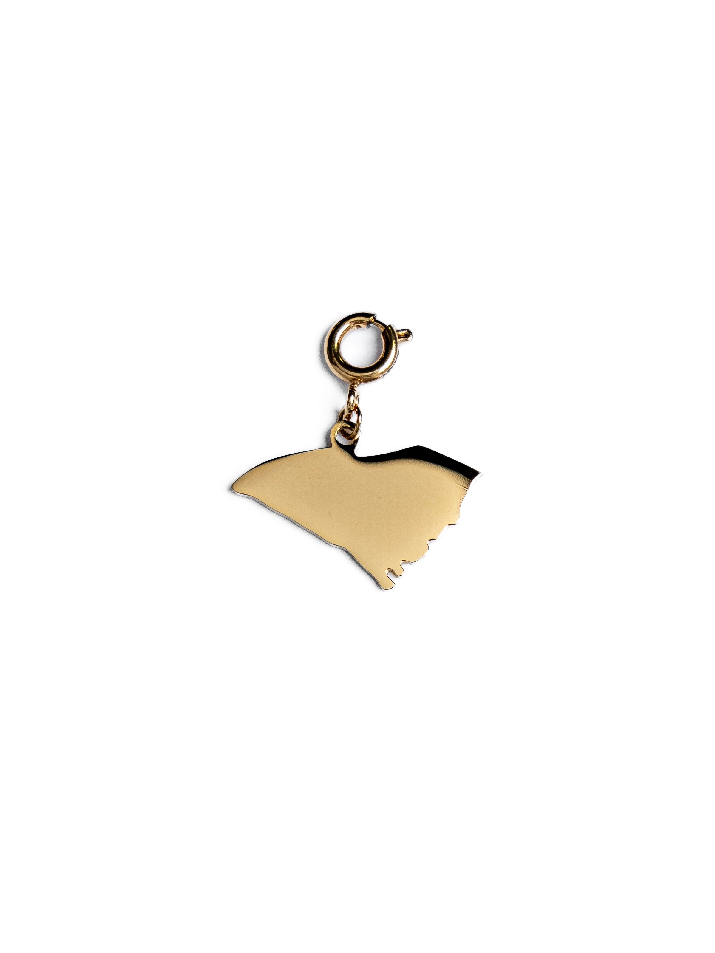 Waterproof South Carolina Charm – Gold-Plated, Tarnish-Free & Hypoallergenic