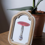 Vintage Arch Photo Frame