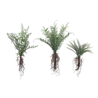 Faux Fern w/ Exposed Roots
