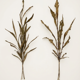 Faux Leaf Stem