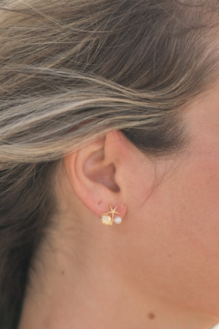 Starfish & Shell Studs