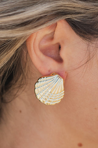 Shell Stud Earrings