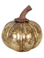 Gold Mercury Pumpkin