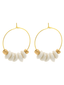 Sand Dollar Earrings