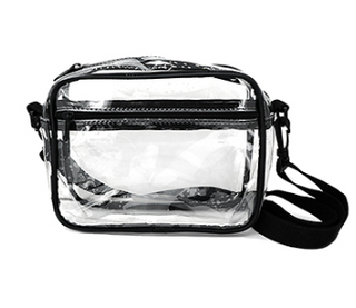 Clear Rectangle Bag